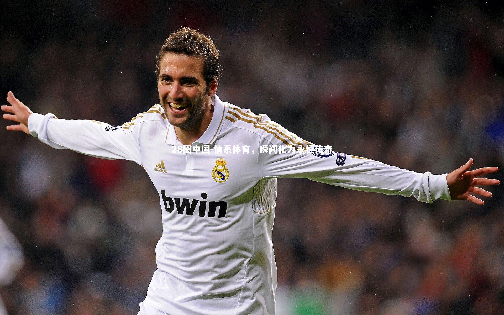 情系体育，瞬间化为永恒传奇